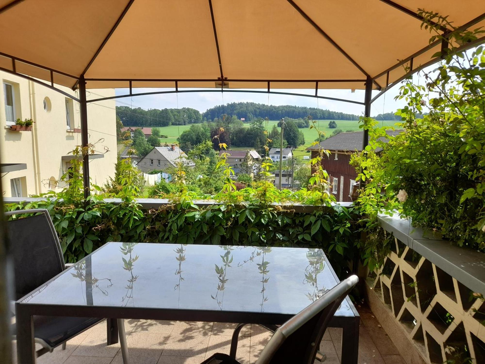 Appartamento Wolfsbergblick Reinhardtsdorf-Schona Esterno foto