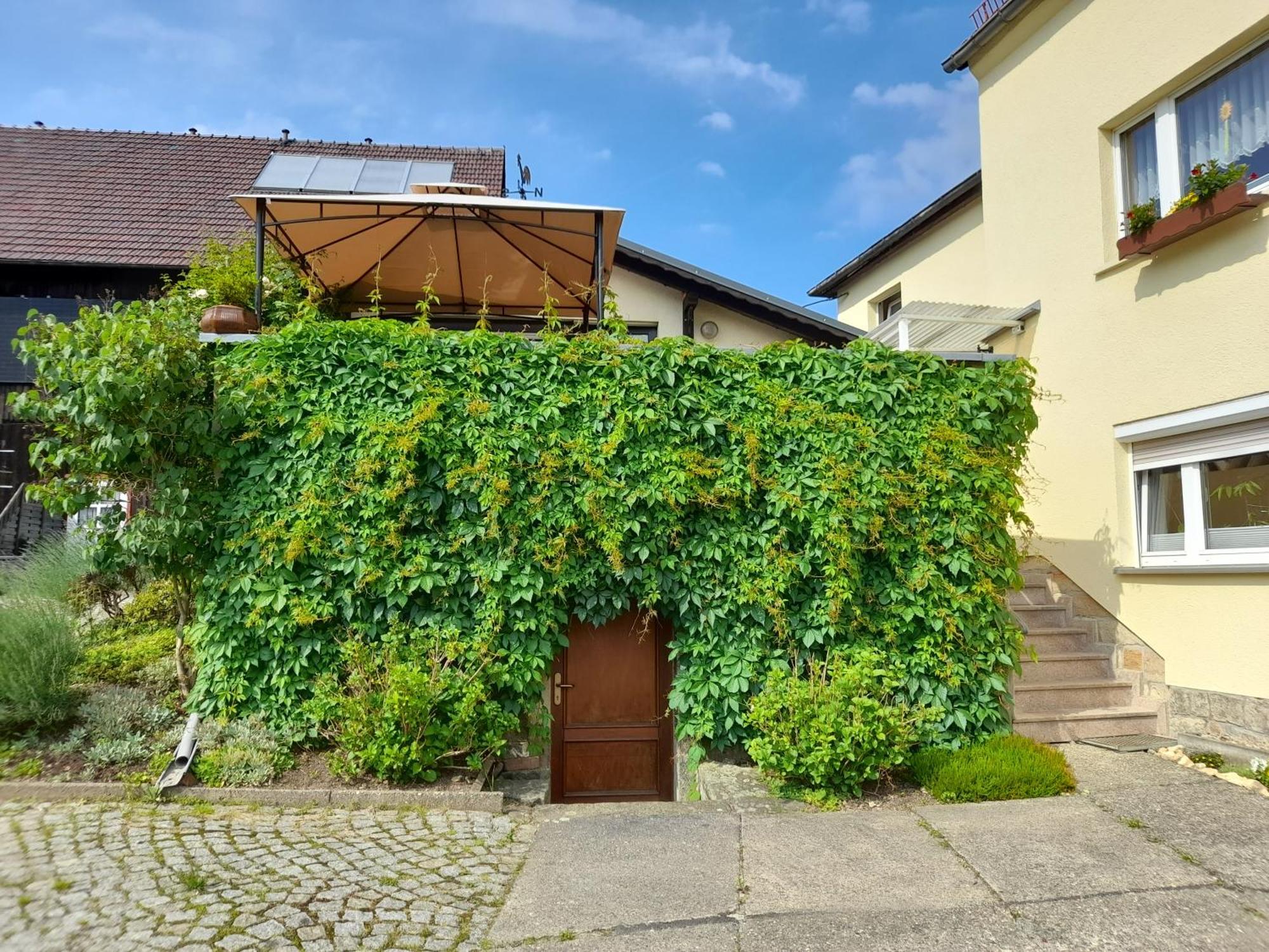 Appartamento Wolfsbergblick Reinhardtsdorf-Schona Esterno foto
